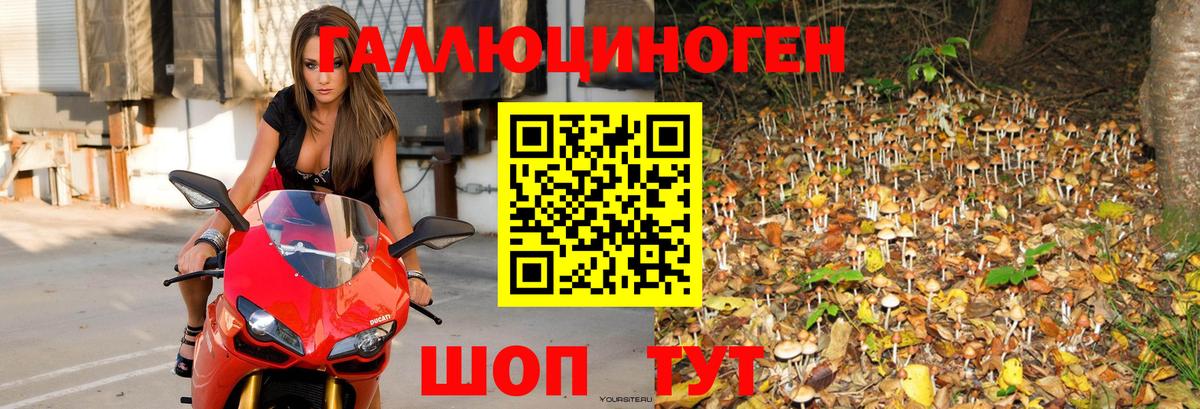 Галлюциногенные грибы Psilocybine cubensis  Вход с VPN  как найти закладки  Сосновый Бор 